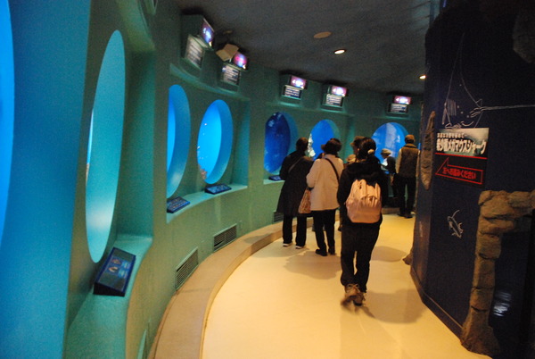 京急油壺マリンパーク (20)