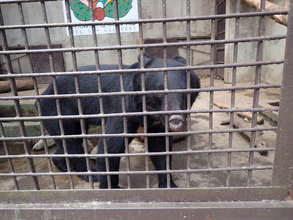 宇都宮動物園 (8)