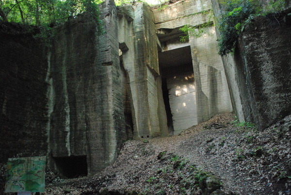 薮塚石切り場 (9)