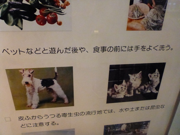 目黒寄生虫館 (41)