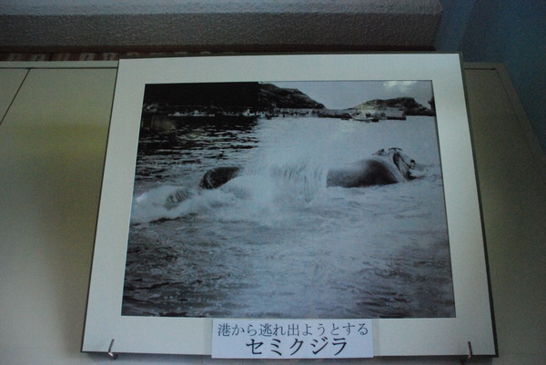 雲見くじら館 (29)