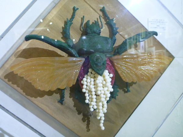 不思議博物館サナトリウム (6)