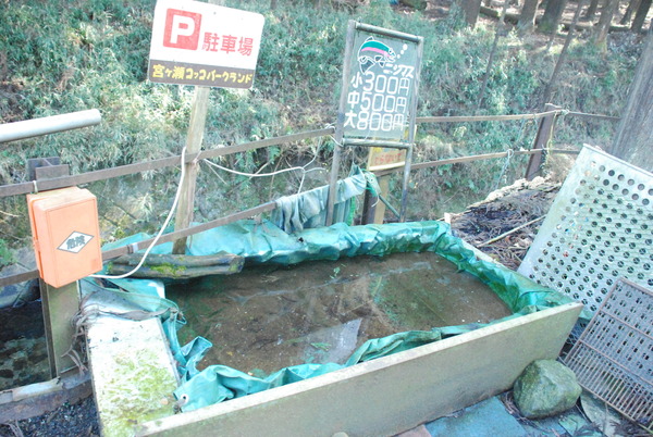 宮ヶ瀬コッコランドパーク (2)