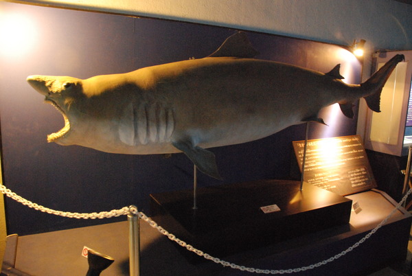 京急油壺マリンパーク (13)