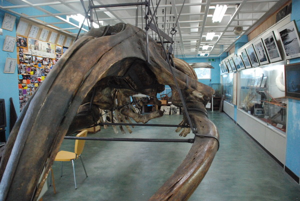 雲見くじら館 (30)