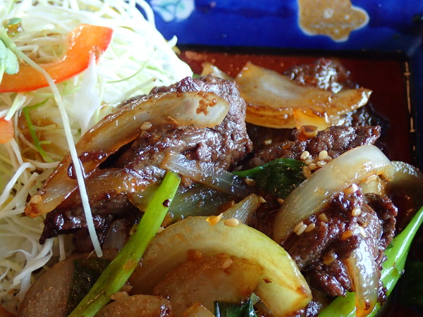 道の駅たいじ (23)