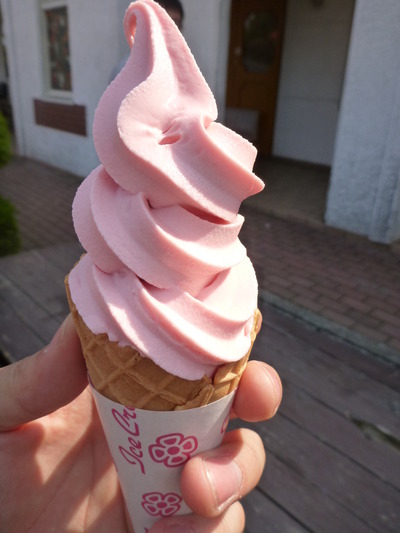 伊豆しゃぼてん公園 (44)