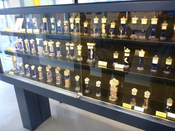 目黒寄生虫館 (18)