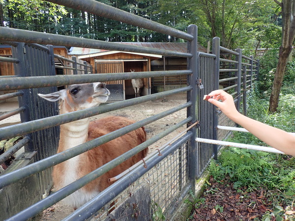 宇都宮動物園 (14)