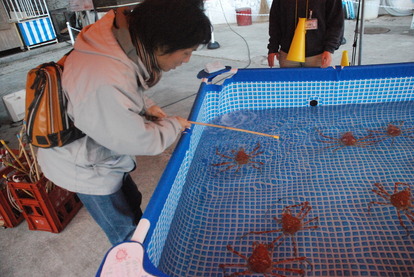 あわしまマリンパーク (7)