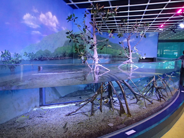 箱根園水族館 (103)