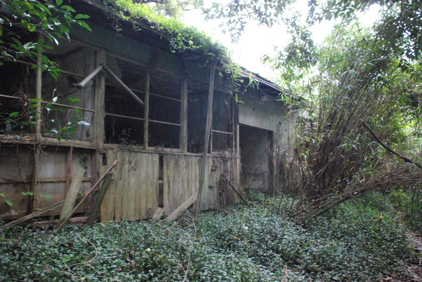 稲取天然痘隔離病棟 (31)