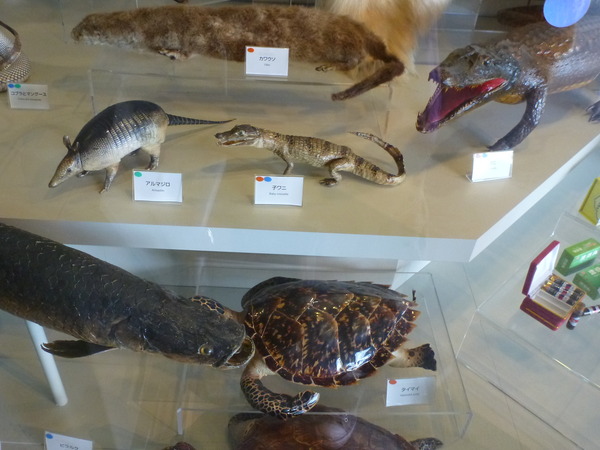 東京税関情報ひろば (6)