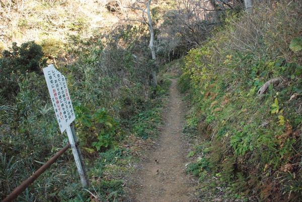 雲見温泉赤井浜露天風呂 (2)