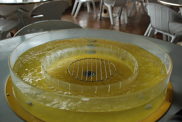 池田湖パラダイス (11)