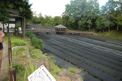 大王わさび農場 (7)