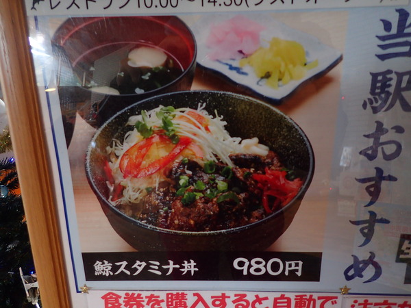 道の駅たいじ (14)