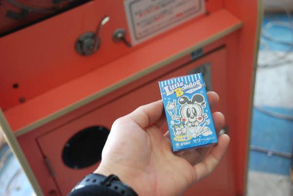 群馬サファリパーク　レトロゲーム (16)