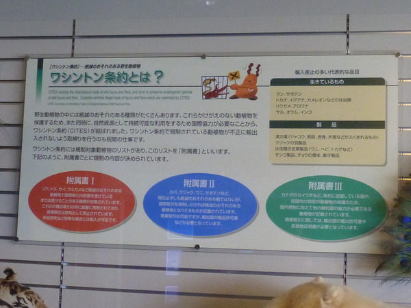 東京税関情報ひろば (7)