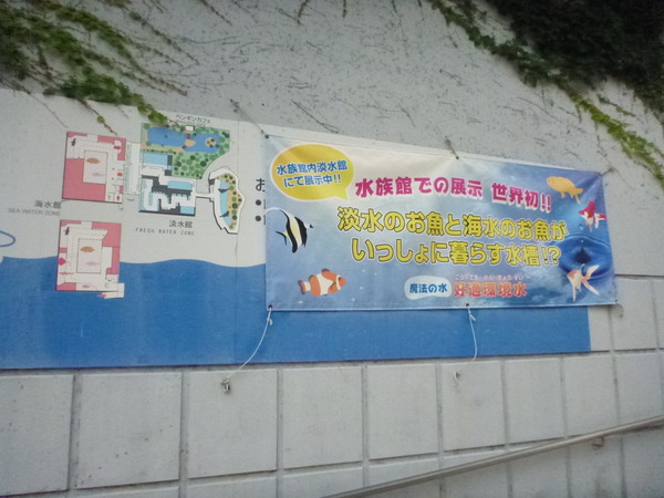 箱根園水族館 (3)