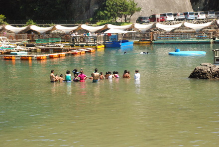 下田海中水族館 (17)