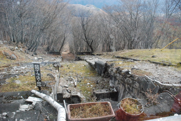 明智平ケーブルカー (7)