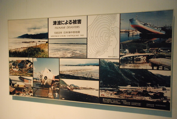 東海大海洋生物博物館 (8)