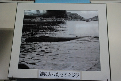 雲見くじら館 (21)