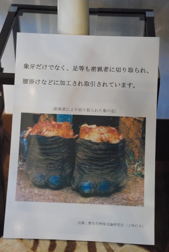 横浜税関展示室 (19)