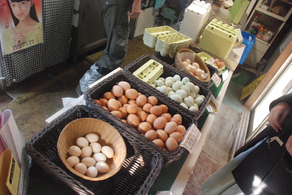 宮ヶ瀬コッコランドパーク (40)