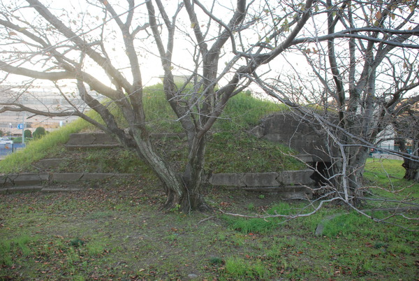 第21海軍航空隊 (8)