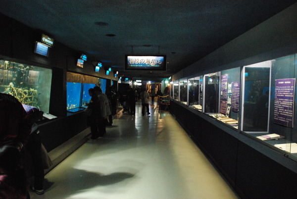 京急油壺マリンパーク (3)