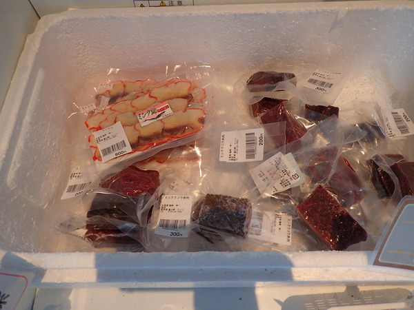 道の駅たいじ (9)