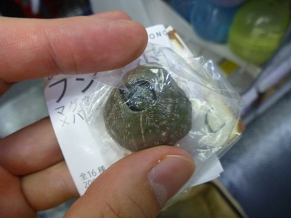 ガチャポン会館 (15)