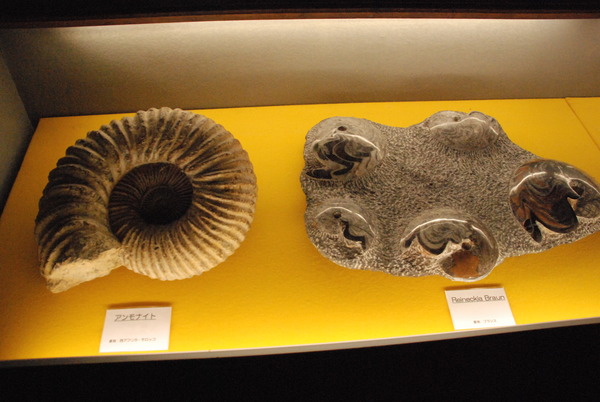 ぱれらめーる (15)