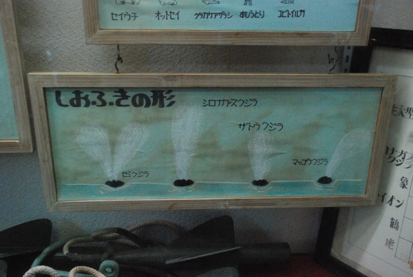 雲見くじら館 (31)