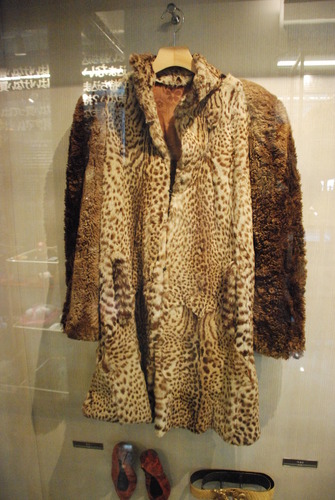 横浜税関展示室 (13)