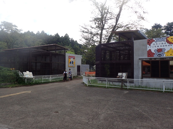 宇都宮動物園 (1)