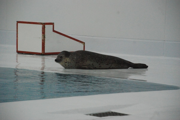 加茂水族館 (34)