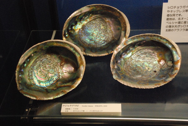 ぱれらめーる (10)