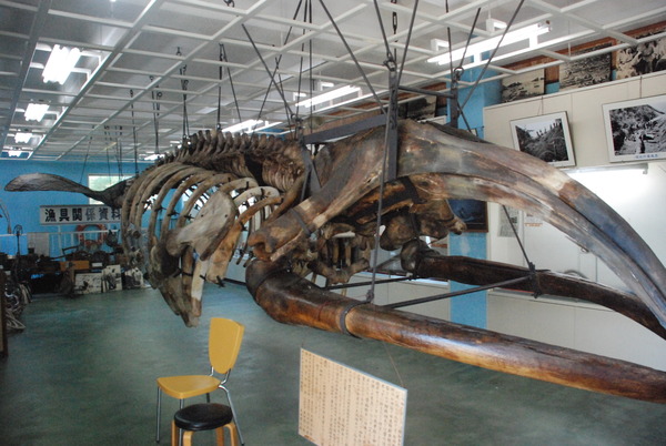 雲見くじら館 (1)