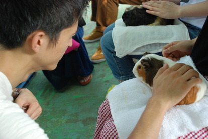 板橋区こども動物園 (4)