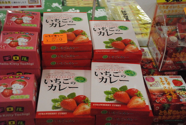 明智平ケーブルカー (14)