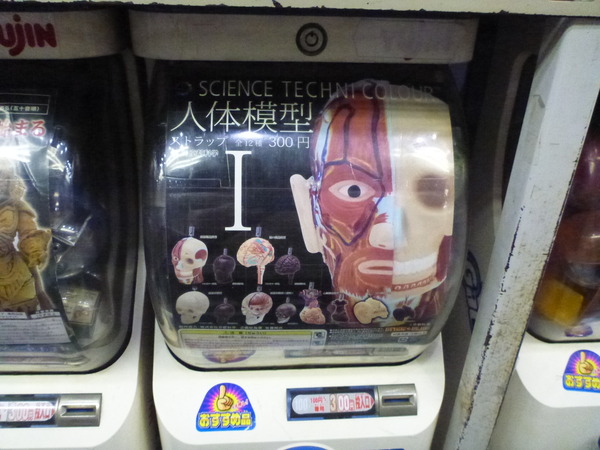 ガチャポン会館 (5)