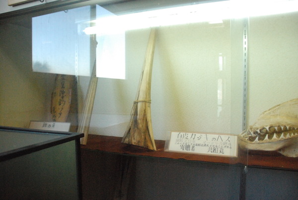 雲見くじら館 (7)