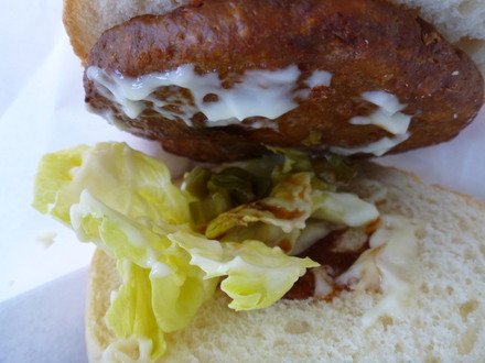 伊豆しゃぼてん公園 (54)